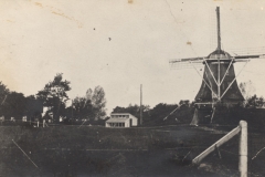 HV03137