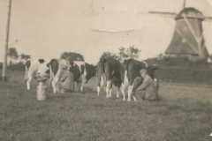 HV10512
